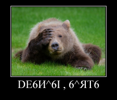 Победители конкурса Comedy Wildlife Awards 2018: медведь с разболевшейся головой и танцующие вараны