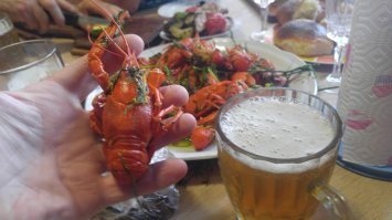 Пиво и с раками хорошо смотрится .