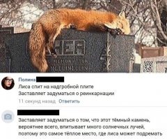 а ни кого не смутило, что на плите написано ХЕР?