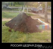 Могли бы и земельку привезти