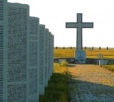 В Курске есть немецкое кладбище, вполне себе ухоженное. Никто не против, есть и есть. Это история, её забывать нельзя.