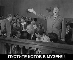 Двух японских котов пригласили в российские музеи