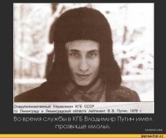Норковая шуба. Случай в суде