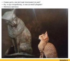 Правдивая история о котенке-крохе, который в одиночку оптимизировал работу всего офиса