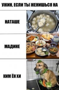 Ни дня без демотиваторов