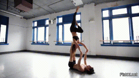 Ни дня без гифок