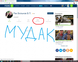 Белорусские модники