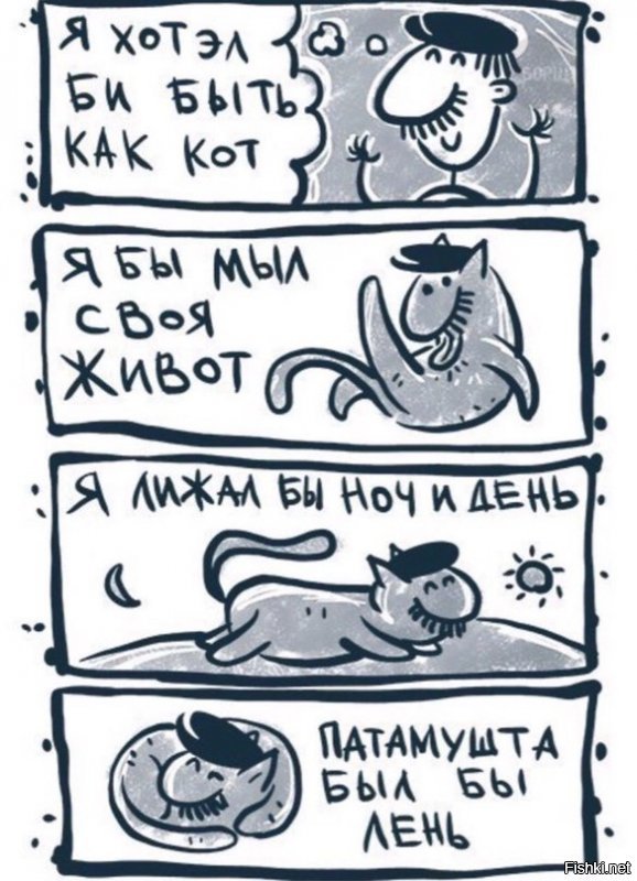 Смешной кот исполняет национальные грузинские мотивы 