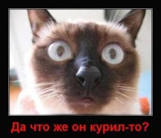 Ещё увидимся. Фельдшер — о своей встрече со смертью