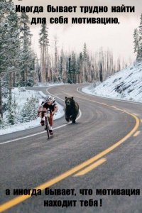 Прикольные и смешные картинки