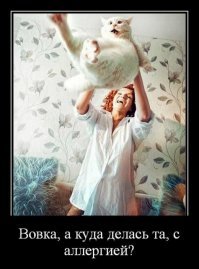 20 фотографий, которые были бы скучными, если б в кадре внезапно не появились кошки