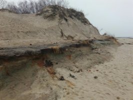 ""Лабораторный анализ материала, извлеченного из развалин в Испании, показал наличие ранее неизвестного типа цемента, который вероятно использовался в древней передовой металлургии. Изучения зеленовато-голубой патины, взятой на месте, показали сочетание нескольких древних металлов", - говорит морской историк Тим Акерс, руководитель исследований в Merlin Burrows."
А вот у нас на дюнах прибрежных тоже какой то "странный" ржавый налёт на глинистом выступе. Мож тоже Атлантида вылупляется? (фото) А вообще на роль Атлантиды, с учётом привирания историков и прочего налёта времени, на мой взгляд более всего подходит Санторини. И пока новые раскопки отлично вписываются именно в эту версию.