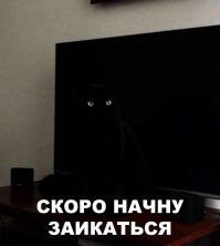 Показалось...прикольные снимки с котами