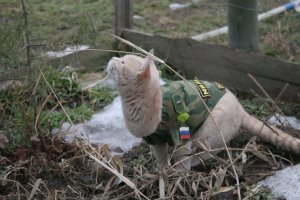 Я с помощником, ох было время, фото по сроку давности.