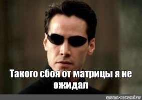 Показалось...прикольные снимки с котами