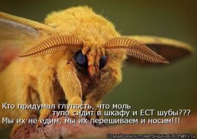 Случай в суде