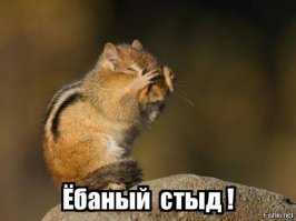 Победители конкурса Comedy Wildlife Awards 2018: медведь с разболевшейся головой и танцующие вараны