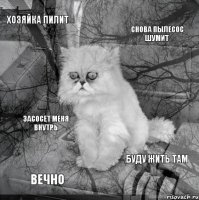 Вообще этот кот очень похож на того кота, который стал мемом несколько лет назад. Может это он и есть?