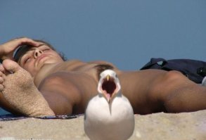 20 фотографий, которые были бы скучными, если б в кадре внезапно не появились кошки