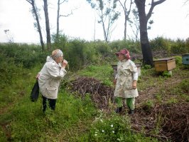 Понял, спасибо за ответ, у нас немного сложнее - до мес добраться - две речки и три ручья, как говорится.  Но главное - прокладка:) Всё можно, при уме и сообразительности.  Удачи!!!
