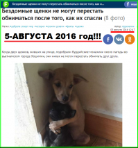 Автор идиот!!!

Этому БАЯНУ уже два года!!!