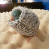 согласен... перезимуют...