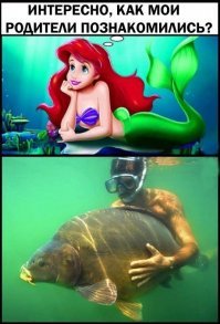 Прикольные и смешные картинки