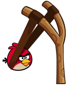 Фотоподборка за 19.11.2018