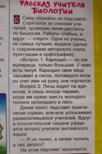 Черный пояс по интеллекту нулевого уровня