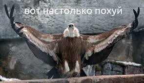 Две водонапорные башни в Эссексе были переделаны в дом стоимостью 1,6 млн. фунтов стерлингов