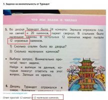 Не так все просто в графстве Турандот. Всего каминов 20, больших 12, значит маленьких 20-12=8, а вот со спальнями сложнее, либо их тоже 8, либо четыре без отопления