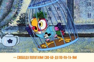 Братская могила птиц. Там просто памятник поставить, жертвам птичьего геноцида.