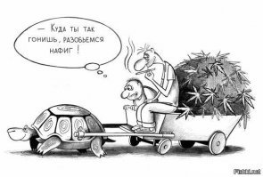 Шок: виртуальная реальность может обмануть мозг?