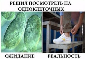 Картинки с надписями для настроения