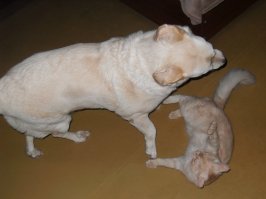 У меня вот так