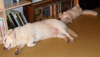 У меня вот так