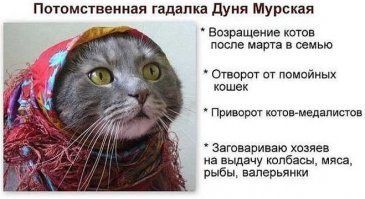 Снимаю. Порчу. Дисперсия