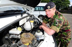 Мужчина решил сделать ремонт на кухне и обнаружил нечто жуткое