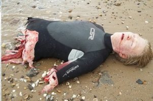 … кинематографисты пытаются доказать, что акулы не едят людей ©