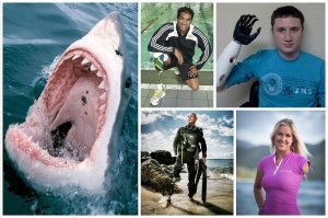 … кинематографисты пытаются доказать, что акулы не едят людей ©