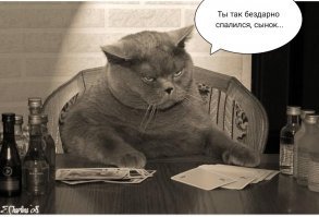 Подборка топовых фото-приколов  