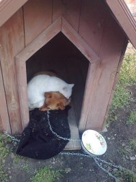 Эти пока ещё не поняли, что случилось