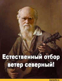 Фотографии, которые заставят вас нервничать