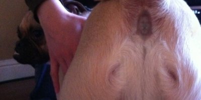 В Израиле нашли древний портрет юного Христа