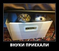 Намешалось