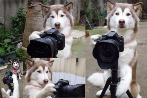 Свой среди чужих