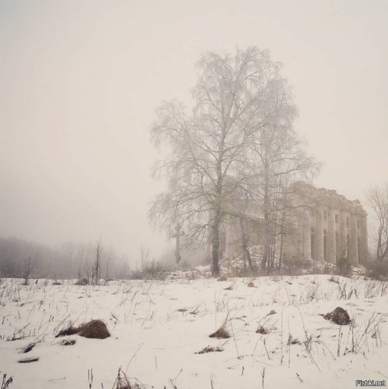 По Ленобласти заброшенных усадеб невероятное количество. Удивляюсь, в ихних европах, если есть старый замшелый камень, его огораживают, пишут историю, пускают туристов и кичатся сврей богатой историей. У нас стоят брошенные дворцы, прекрасные, величественные и никому не нужные. Это очень обидно. 
1. Усадьба Блюментростов и фон Герсдорфов в Куммолово
2. Усадьба Миниха в Гостилицах
3. Усадьба Альбрехта "Утешение", Фалилеевское поселение
4. Усадьба Врангеля в д. Торосово
5. Храм Пресвятой Троицы, все что сохранилось от усадьбы Брискорна "Пятая гора"
6. Въездные ворота в усадьбу Демидовых в с. Тайцы