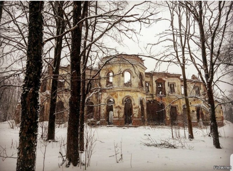 По Ленобласти заброшенных усадеб невероятное количество. Удивляюсь, в ихних европах, если есть старый замшелый камень, его огораживают, пишут историю, пускают туристов и кичатся сврей богатой историей. У нас стоят брошенные дворцы, прекрасные, величественные и никому не нужные. Это очень обидно. 
1. Усадьба Блюментростов и фон Герсдорфов в Куммолово
2. Усадьба Миниха в Гостилицах
3. Усадьба Альбрехта "Утешение", Фалилеевское поселение
4. Усадьба Врангеля в д. Торосово
5. Храм Пресвятой Троицы, все что сохранилось от усадьбы Брискорна "Пятая гора"
6. Въездные ворота в усадьбу Демидовых в с. Тайцы