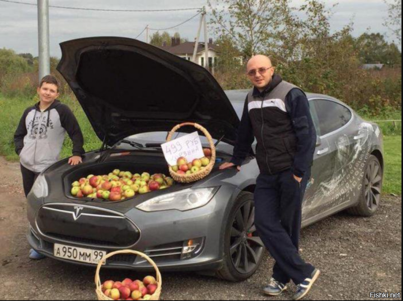 Пришла зима, замёрзла Тесла