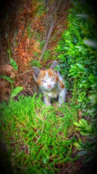 Встретил на улице